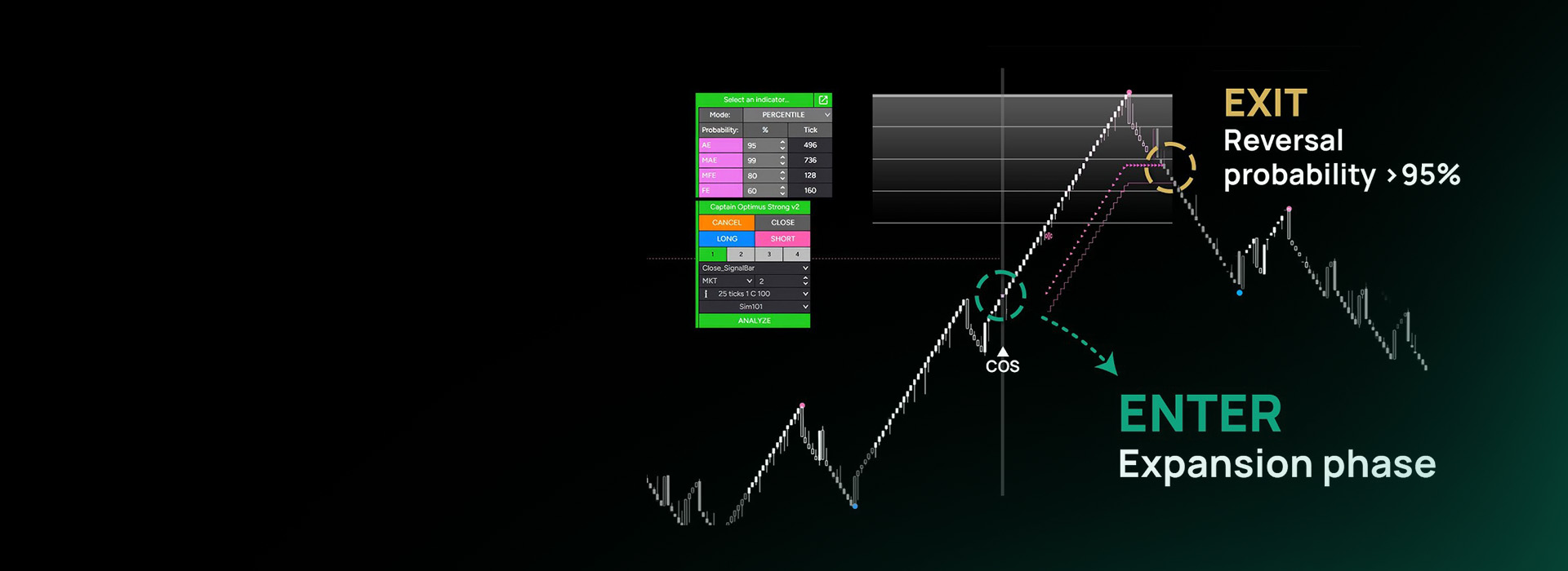 smart dolphin trading